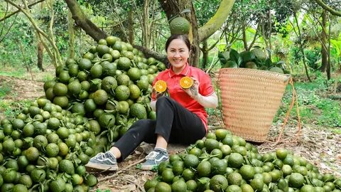 Video ngắn – Giải pháp truyền thông thông minh cho doanh nghiệp nhỏ_Video phân phối nền tảng